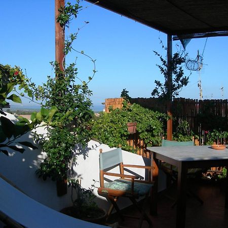 Piazza San Pantaleo Bed & Breakfast Sorso Bagian luar foto